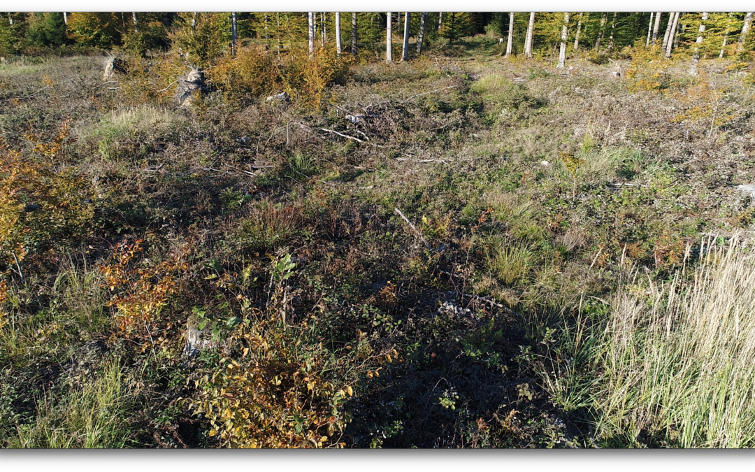 4. August BUND Radtour: Trinkwasser im Öttinger Forst