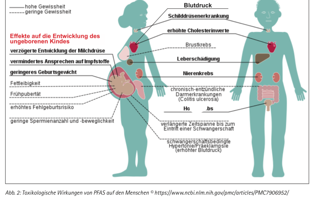 Online-Stammtisch am 16. Dez. 19 Uhr